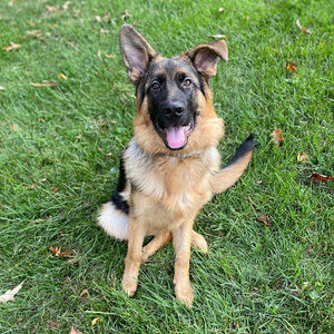 Meet your Posher, Tina